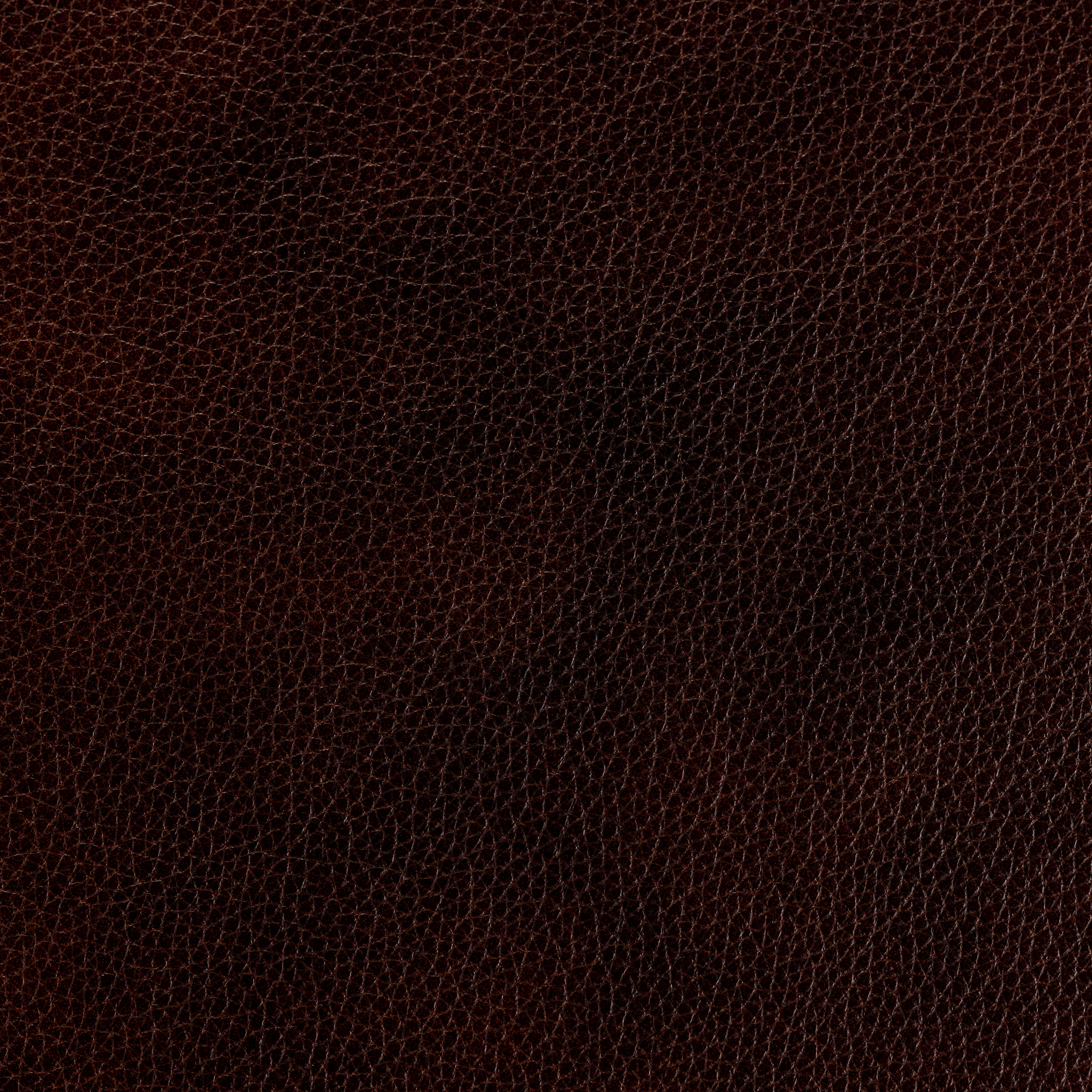 Salem Rich Brown - QS Leather 1