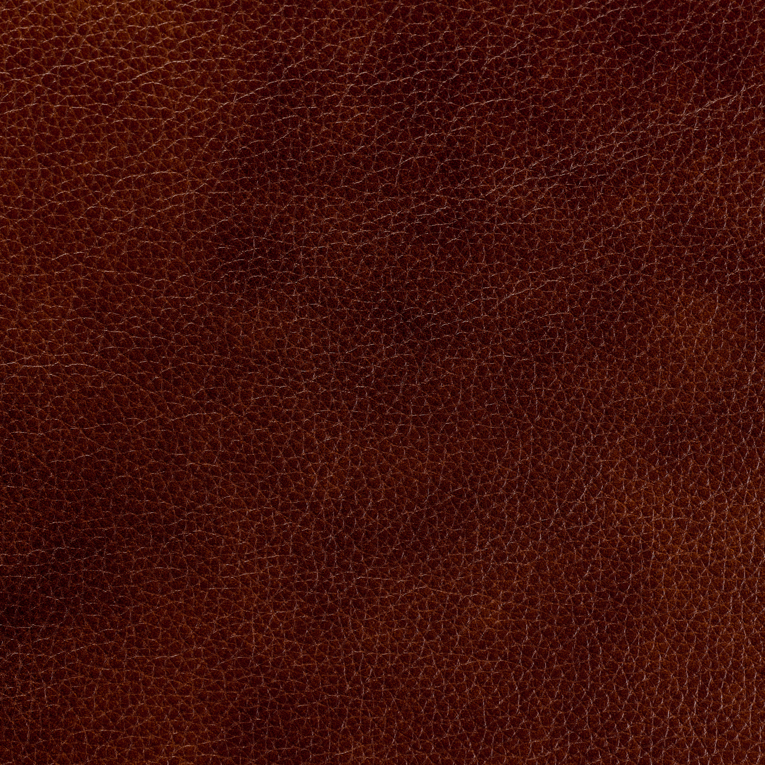 Salem Warm Brown - QS Leather 1
