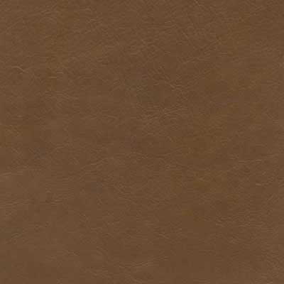 Rembrandt Acorn - QS Leather 2