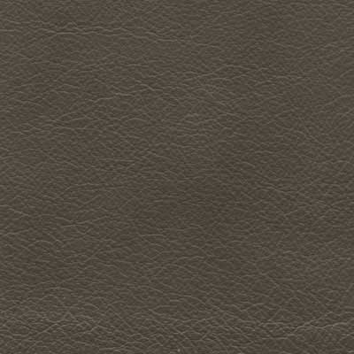 Rembrandt Mallard - QS Leather 2