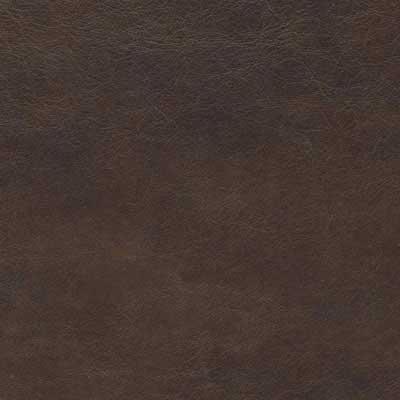 Rembrandt Sable - QS Leather 2