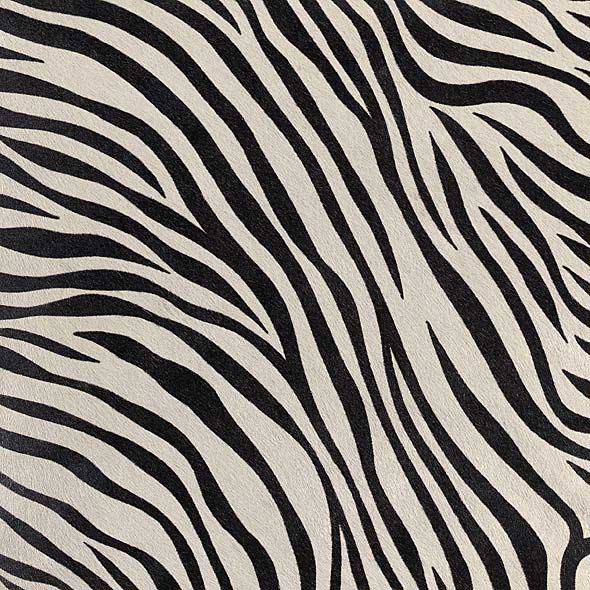 Cavallo Zebra (Hair-on-Hide) 2